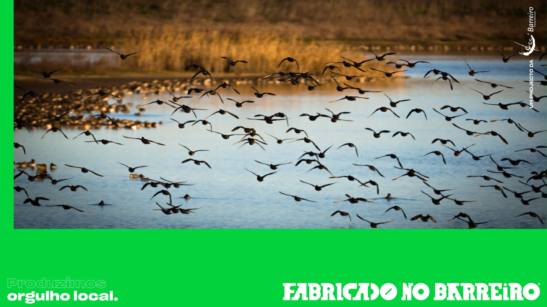 Fabricado no Barreiro